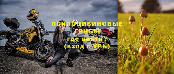 СК Алзамай