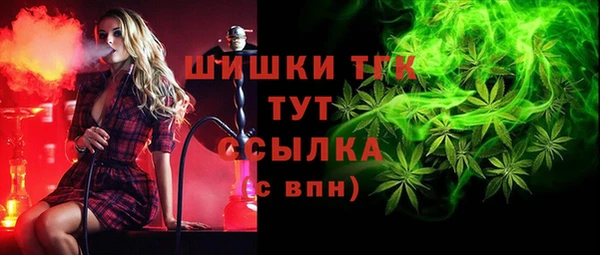 PSILOCYBIN Пестово