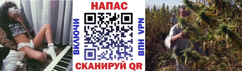 МАРИХУАНА сатива  Николаевск 
